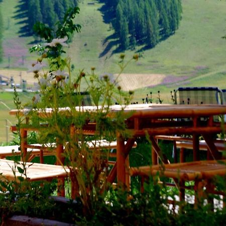 La Chaumiere Daire Beuil Dış mekan fotoğraf
